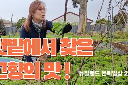 1761820212 maxresdefault infoshare - nz immigration news / 뉴질랜드 이민정보