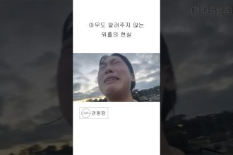 1761898209 maxresdefault infoshare - nz immigration news / 뉴질랜드 이민정보