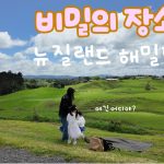1761906610 maxresdefault infoshare - nz immigration news / 뉴질랜드 이민정보