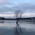 1761982212 maxresdefault infoshare - nz immigration news / 뉴질랜드 이민정보