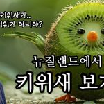 1761998414 maxresdefault infoshare - nz immigration news / 뉴질랜드 이민정보