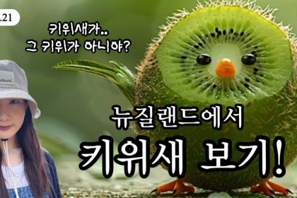 1761998414 maxresdefault infoshare - nz immigration news / 뉴질랜드 이민정보