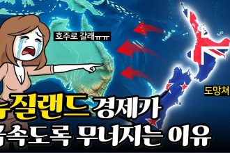 1762000811 maxresdefault infoshare - nz immigration news / 뉴질랜드 이민정보
