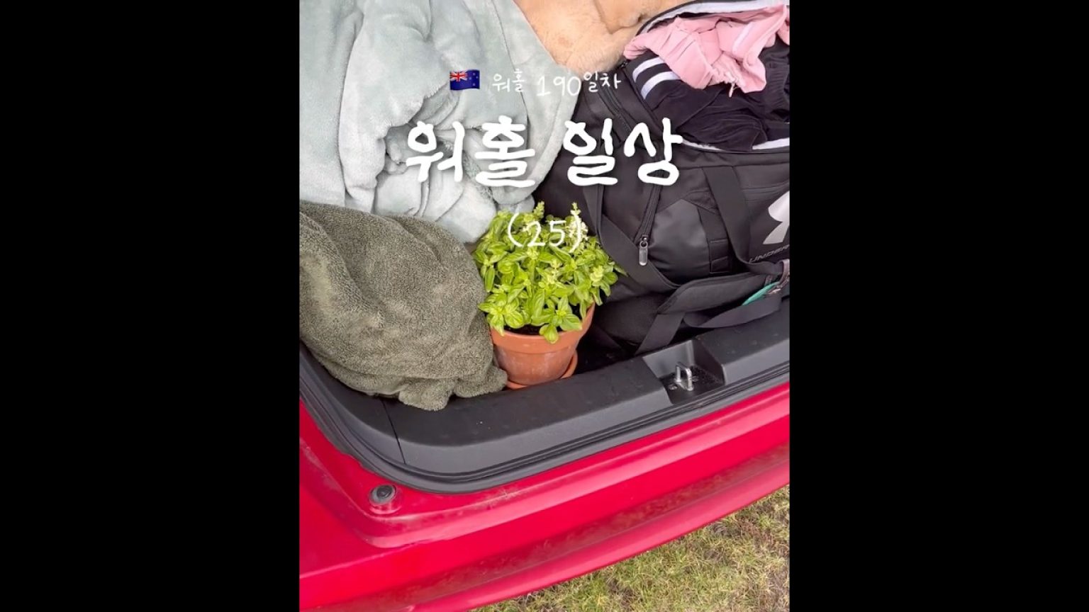 1762069210 maxresdefault infoshare - nz immigration news / 뉴질랜드 이민정보