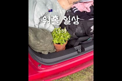 1762069210 maxresdefault infoshare - nz immigration news / 뉴질랜드 이민정보