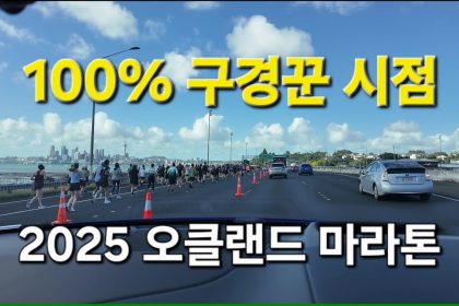 1762075812 maxresdefault infoshare - nz immigration news / 뉴질랜드 이민정보
