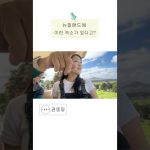 1762164013 maxresdefault infoshare - nz immigration news / 뉴질랜드 이민정보