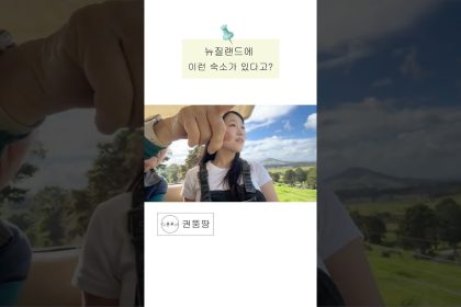 1762164013 maxresdefault infoshare - nz immigration news / 뉴질랜드 이민정보