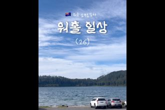 1762201814 maxresdefault infoshare - nz immigration news / 뉴질랜드 이민정보