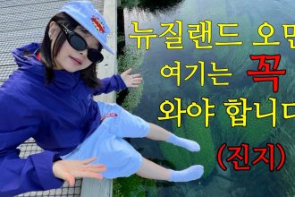1762509007 maxresdefault infoshare - nz immigration news / 뉴질랜드 이민정보