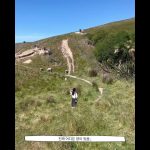 1762593009 maxresdefault infoshare - nz immigration news / 뉴질랜드 이민정보