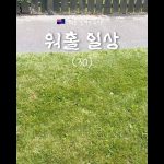 1762596008 maxresdefault infoshare - nz immigration news / 뉴질랜드 이민정보