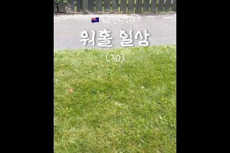 1762596008 maxresdefault infoshare - nz immigration news / 뉴질랜드 이민정보