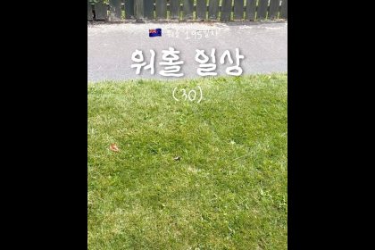 1762596008 maxresdefault infoshare - nz immigration news / 뉴질랜드 이민정보