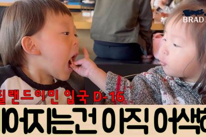 1762622409 maxresdefault infoshare - nz immigration news / 뉴질랜드 이민정보