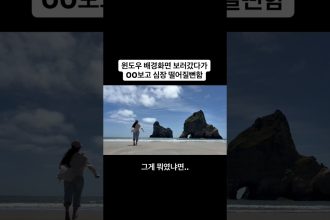 1762683609 maxresdefault infoshare - nz immigration news / 뉴질랜드 이민정보
