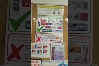 1762767008 maxresdefault infoshare - nz immigration news / 뉴질랜드 이민정보