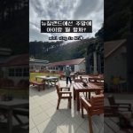 1762773008 maxresdefault infoshare - nz immigration news / 뉴질랜드 이민정보
