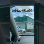 1762785608 maxresdefault infoshare - nz immigration news / 뉴질랜드 이민정보