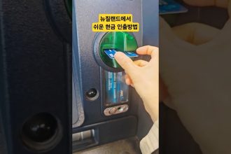 1763107214 maxresdefault infoshare - nz immigration news / 뉴질랜드 이민정보