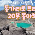 1763115608 maxresdefault infoshare - nz immigration news / 뉴질랜드 이민정보