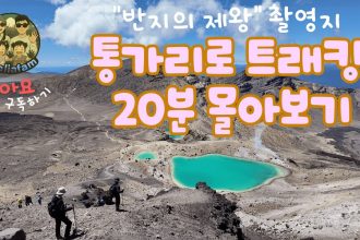 1763115608 maxresdefault infoshare - nz immigration news / 뉴질랜드 이민정보