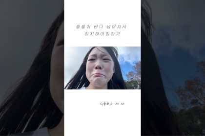 1763120410 maxresdefault infoshare - nz immigration news / 뉴질랜드 이민정보