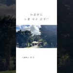 1763130611 maxresdefault infoshare - nz immigration news / 뉴질랜드 이민정보