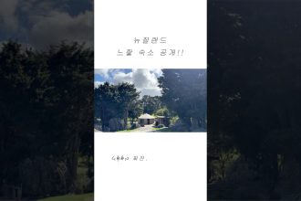 1763130611 maxresdefault infoshare - nz immigration news / 뉴질랜드 이민정보