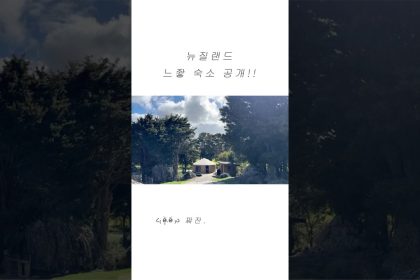 1763130611 maxresdefault infoshare - nz immigration news / 뉴질랜드 이민정보
