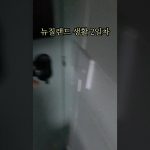 1763133008 maxresdefault infoshare - nz immigration news / 뉴질랜드 이민정보