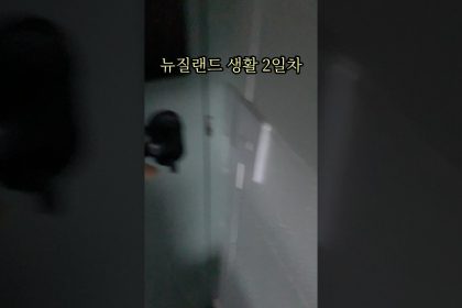 1763133008 maxresdefault infoshare - nz immigration news / 뉴질랜드 이민정보