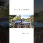 1763193611 maxresdefault infoshare - nz immigration news / 뉴질랜드 이민정보