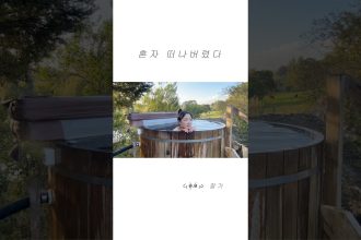 1763193611 maxresdefault infoshare - nz immigration news / 뉴질랜드 이민정보