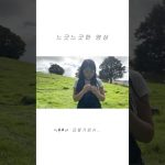 1763197210 maxresdefault infoshare - nz immigration news / 뉴질랜드 이민정보