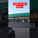 1763200811 maxresdefault infoshare - nz immigration news / 뉴질랜드 이민정보