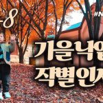 1763295609 maxresdefault infoshare - nz immigration news / 뉴질랜드 이민정보