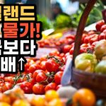 1763376010 maxresdefault infoshare - nz immigration news / 뉴질랜드 이민정보