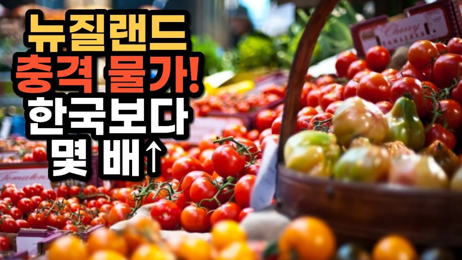 1763376010 maxresdefault infoshare - nz immigration news / 뉴질랜드 이민정보