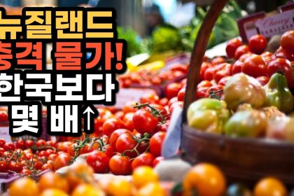 1763376010 maxresdefault infoshare - nz immigration news / 뉴질랜드 이민정보