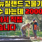 1763488811 maxresdefault infoshare - nz immigration news / 뉴질랜드 이민정보