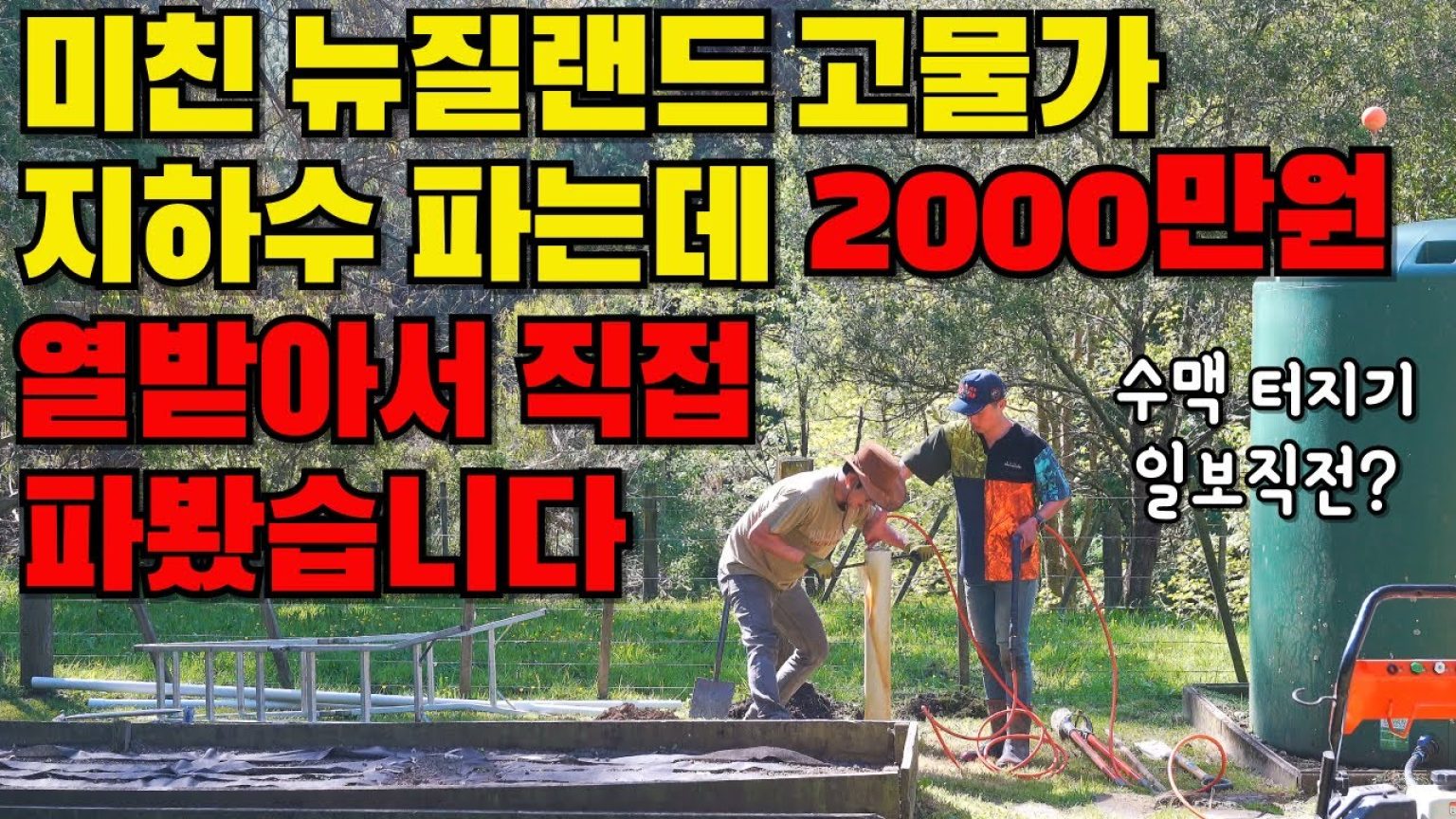 1763488811 maxresdefault infoshare - nz immigration news / 뉴질랜드 이민정보