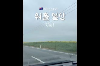 1763628010 maxresdefault infoshare - nz immigration news / 뉴질랜드 이민정보