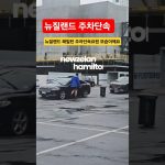 1763643612 maxresdefault infoshare - nz immigration news / 뉴질랜드 이민정보