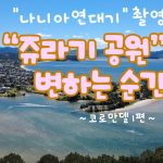 1763722811 maxresdefault infoshare - nz immigration news / 뉴질랜드 이민정보