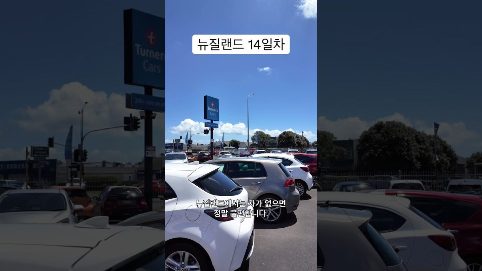 1763800210 maxresdefault infoshare - nz immigration news / 뉴질랜드 이민정보