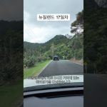 1763811610 maxresdefault infoshare - nz immigration news / 뉴질랜드 이민정보