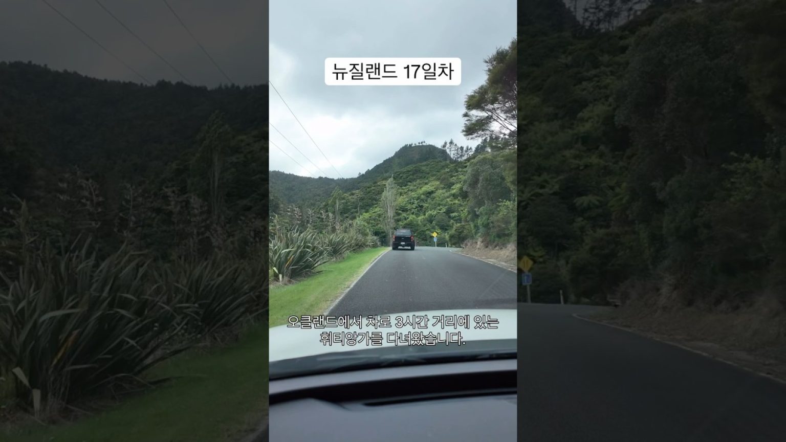 1763811610 maxresdefault infoshare - nz immigration news / 뉴질랜드 이민정보