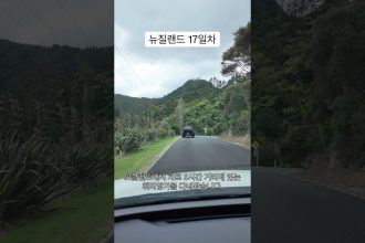 1763811610 maxresdefault infoshare - nz immigration news / 뉴질랜드 이민정보