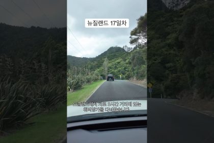 1763811610 maxresdefault infoshare - nz immigration news / 뉴질랜드 이민정보